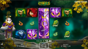 Owls slot