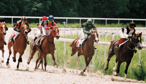 Types van paardenraces: Wat is het verschil?